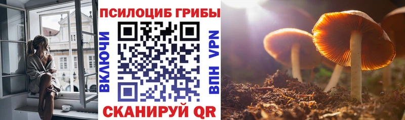 Псилоцибиновые грибы Magic Shrooms  Николаевск-на-Амуре 